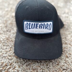 Bluebird Black Cap